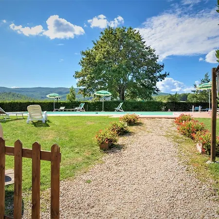 Bazzani * 피이브스퀄라